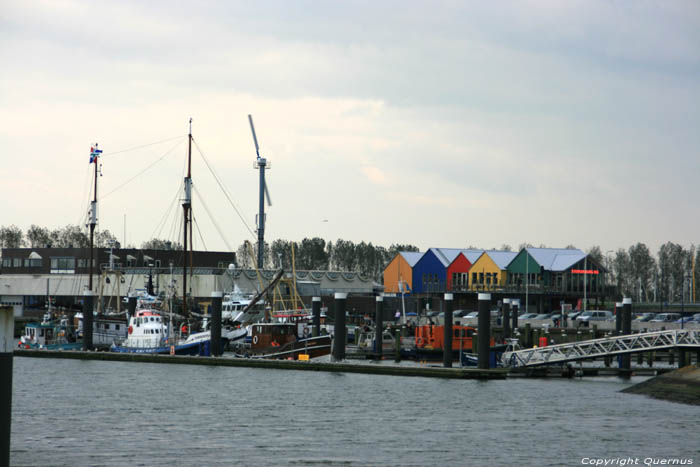 View on Harbor Lauwersoog / Netherlands 