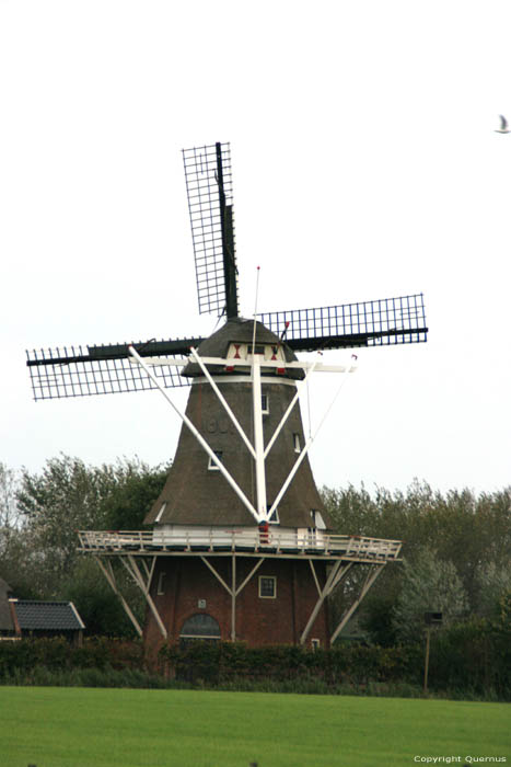 Mill de Hond (the Dog) Paesens / Netherlands 