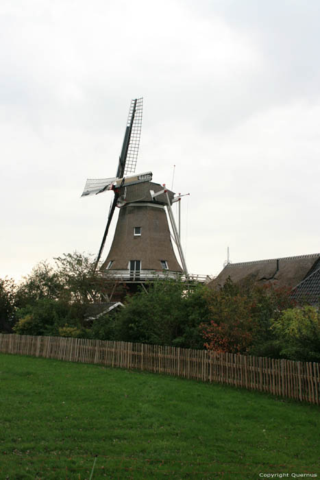 Mill de Hond (the Dog) Paesens / Netherlands 