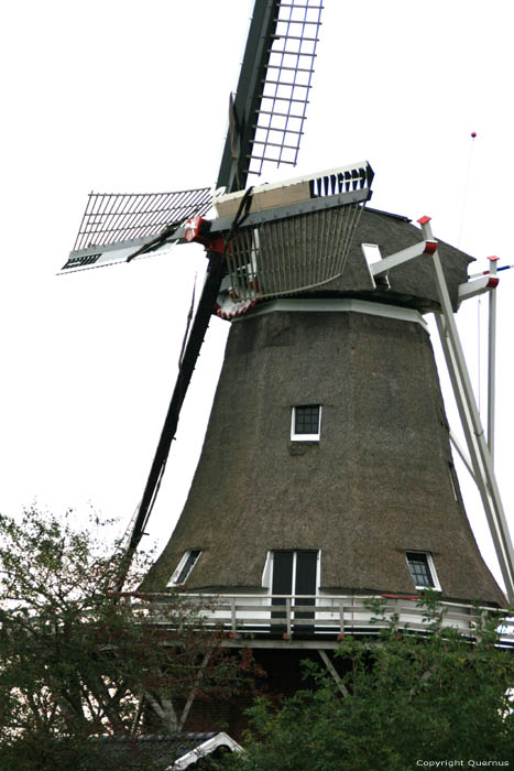 Moulin de Hond (le Chien) Paesens / Pays Bas 
