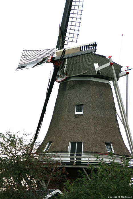 Mill de Hond (the Dog) Paesens / Netherlands 