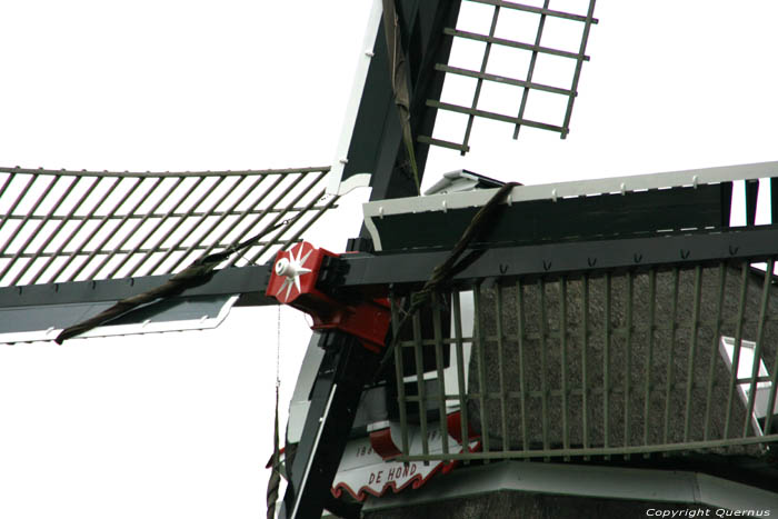 Mill de Hond (the Dog) Paesens / Netherlands 