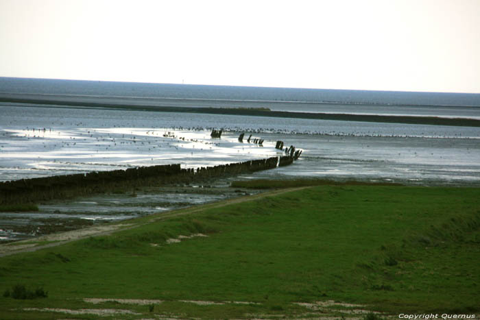 View on Waddenzee Paesens / Netherlands 