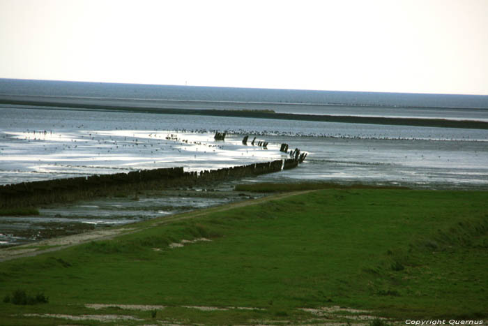 Ziccht op Waddenzee Paesens / Nederland 