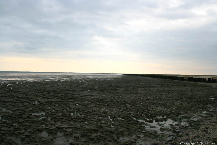 Ziccht op Waddenzee Paesens / Nederland 