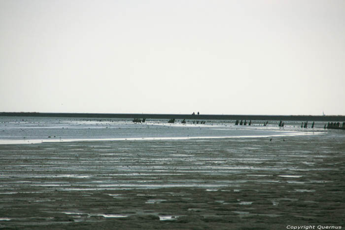 View on Waddenzee Paesens / Netherlands 