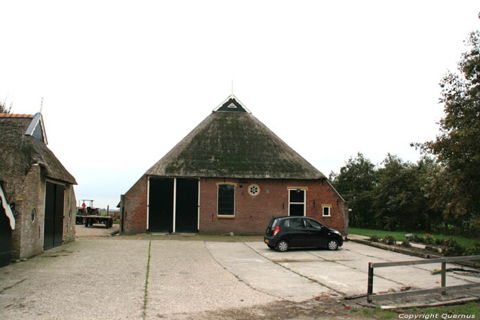 Farm Paesens / Netherlands 