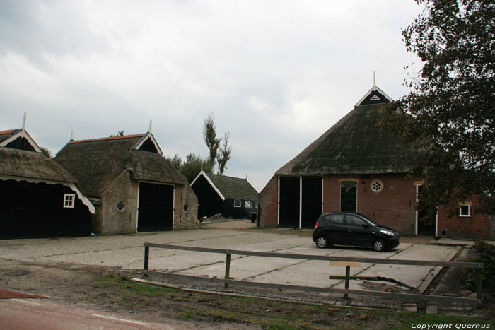 Farm Paesens / Netherlands 