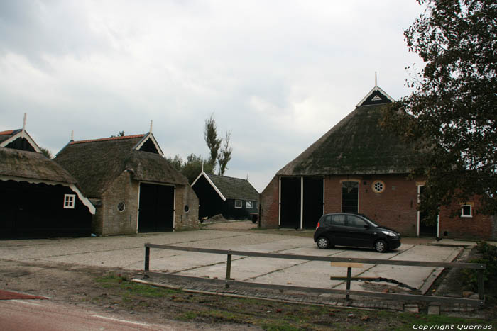 Ferme Paesens / Pays Bas 