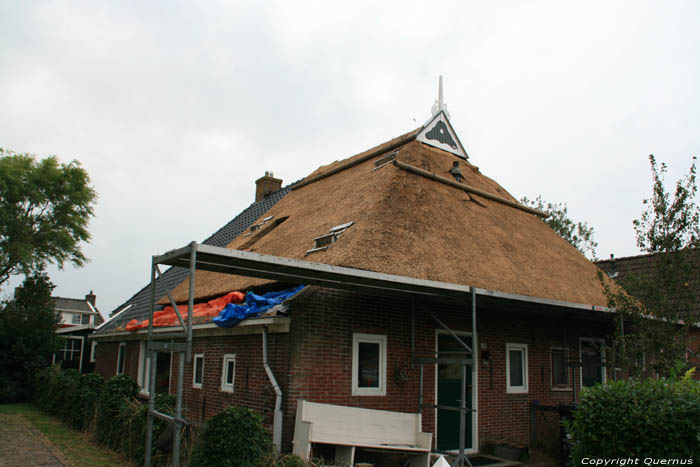 Farm Paesens / Netherlands 