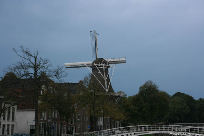 Zeldenrust molen Dokkum / Nederland 