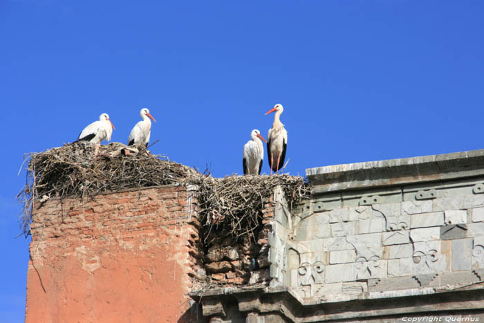 Agnaou Poort Marrakech / Marokko 