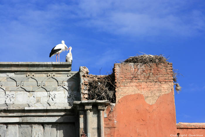 Agnaou Gate (Bab) Marrakech / Morocco 