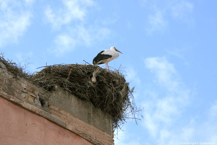 Agnaou Poort Marrakech / Marokko 