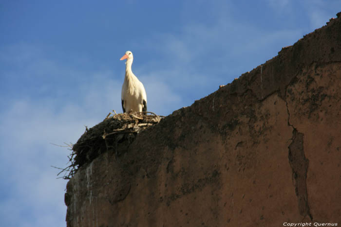 Palais El Badi Marrakech / Maroc 