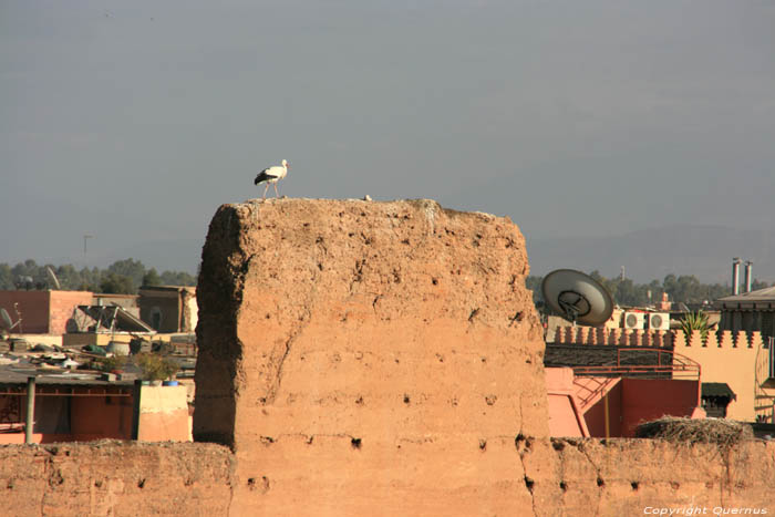 El Badi Palace Marrakech / Morocco 