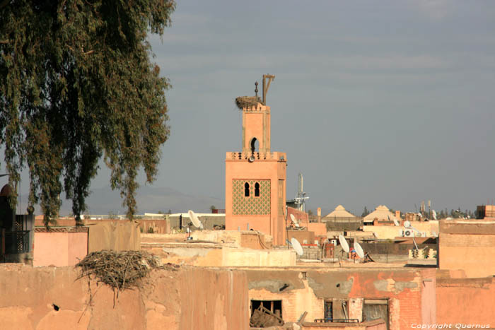 Vue depuis Tot Marrakech / Maroc 