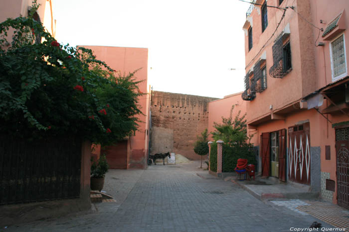 Ezel bij tegelverkoper Marrakech / Marokko 