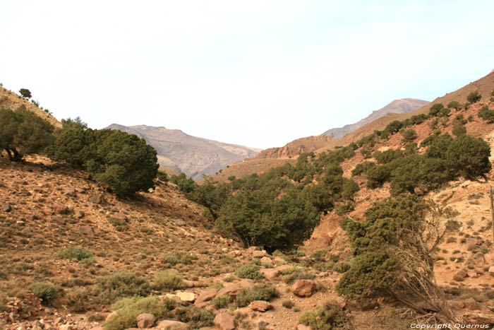 Small Valley Telouet in Ouarzazate / Morocco 