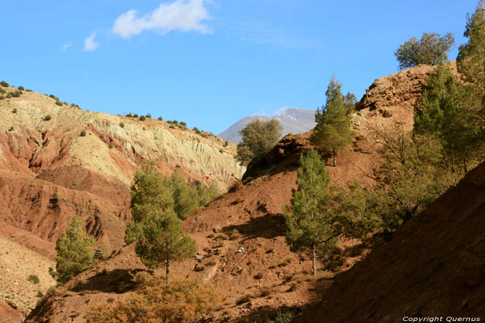 Mountain Telouet in Ouarzazate / Morocco 