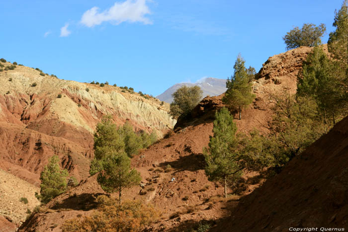 Berg Telouet / Marokko 