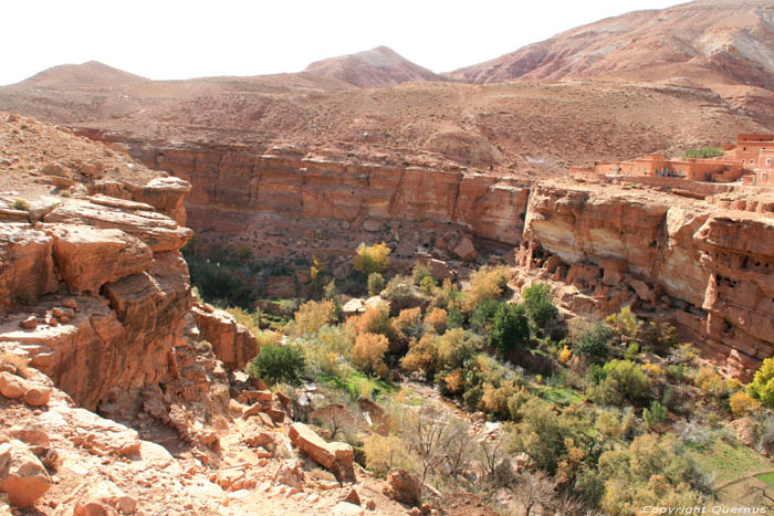 Valle avec Maisons de Grottes Tajegujite / Maroc 
