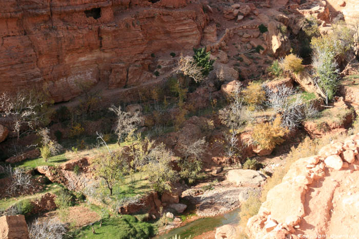 View on Valley Tajegujite / Morocco 