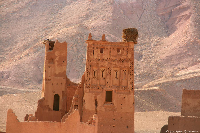 Kasbah de Ooievaar Talifest / Marokko 