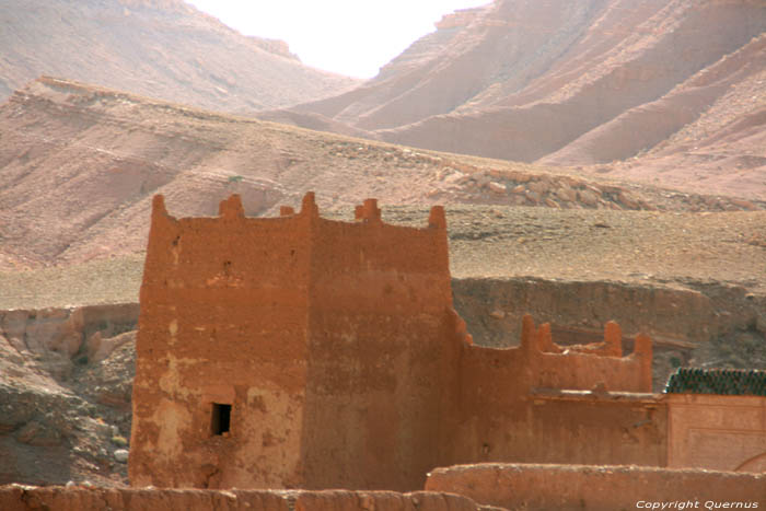 Kasbah de Ooievaar Talifest / Marokko 