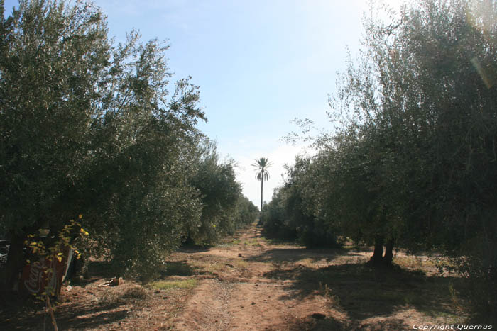 Jardin Mnara Marrakech / Maroc 