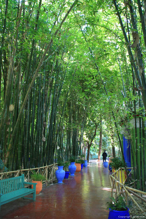 Majorelle Tuin Marrakech / Marokko 