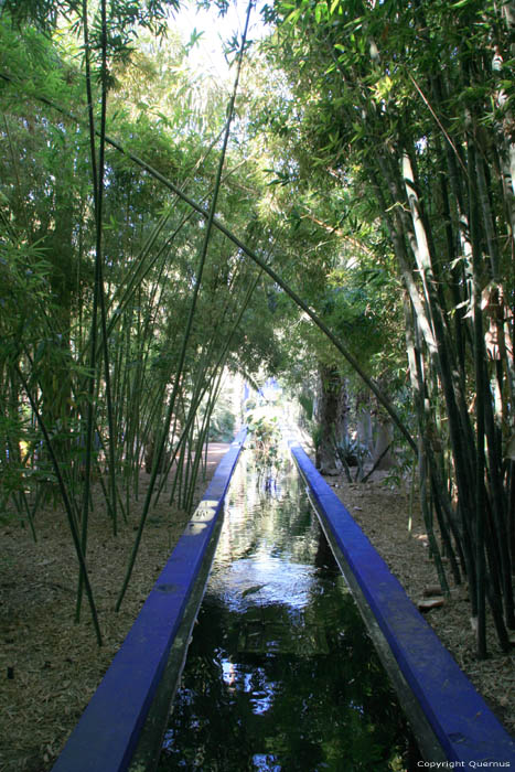 Jardin Majorelle Marrakech / Maroc 