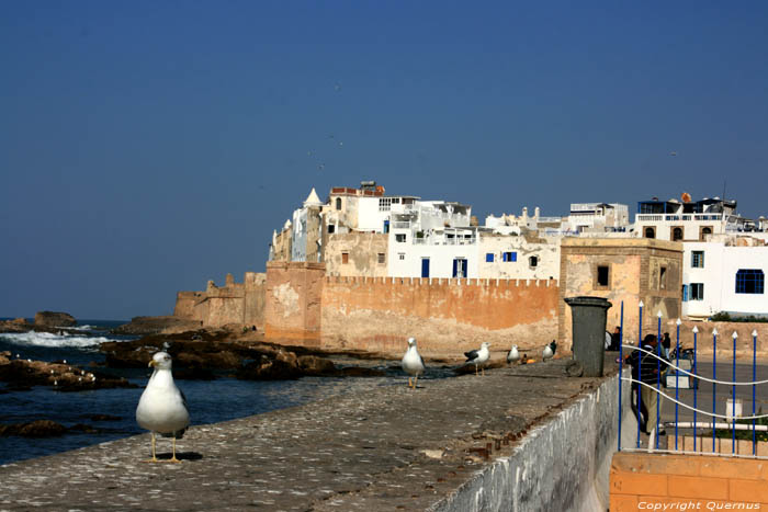 Westerstadsmuur Essaouira / Marokko 