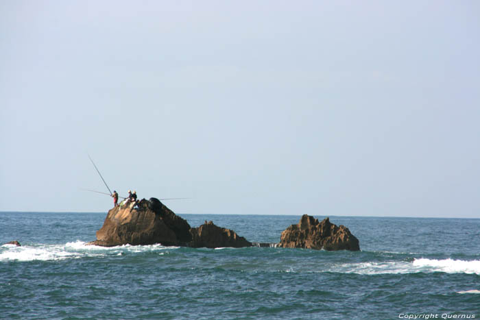 Vissers op rots Essaouira / Marokko 