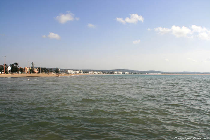 Plage et ocan Essaouira / Maroc 