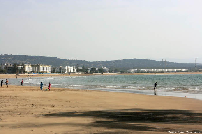 Plage et ocan Essaouira / Maroc 