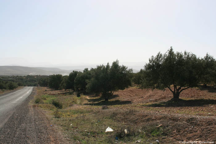 Vue Ouled Khellouf / Maroc 