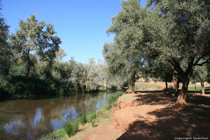 Rivire El Abid  (rivire des Esclaves) Ouzoud / Maroc 