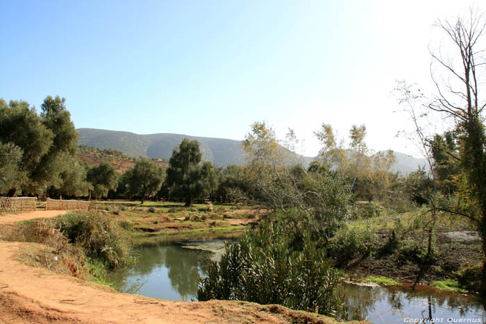 Rivire El Abid  (rivire des Esclaves) Ouzoud / Maroc 