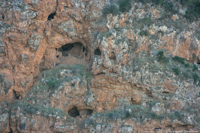 Cave des Hippies Ouzoud / Maroc 