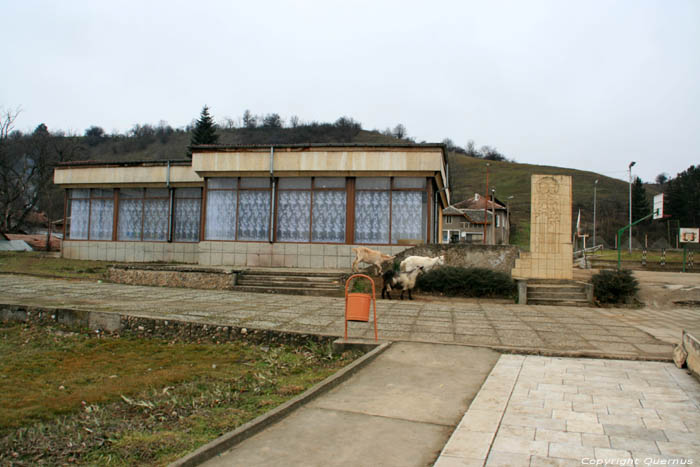 Goats and the School area Dimovo / Bulgaria 