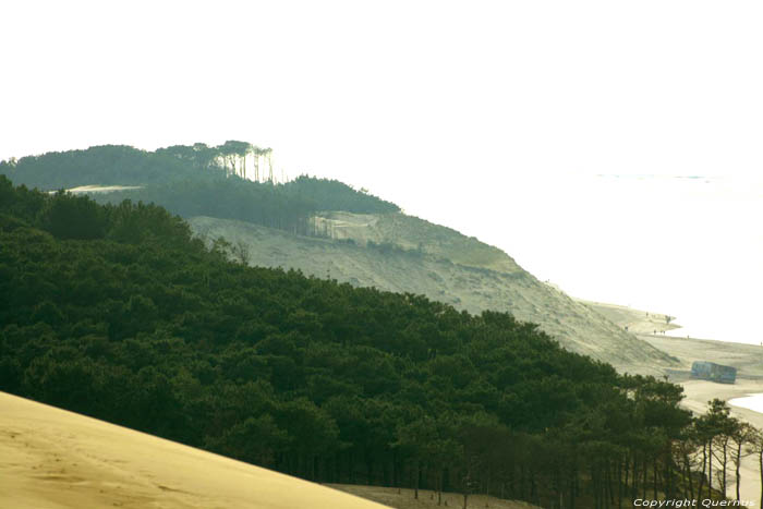 Dune Pyla sur Mer / FRANCE 