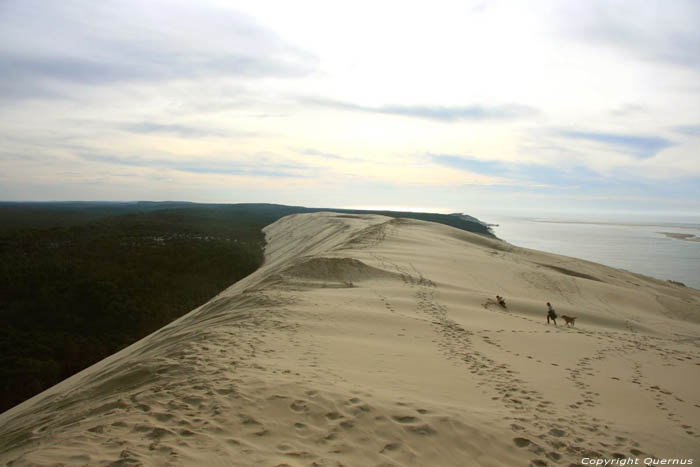 Dune Pyla sur Mer / FRANCE 