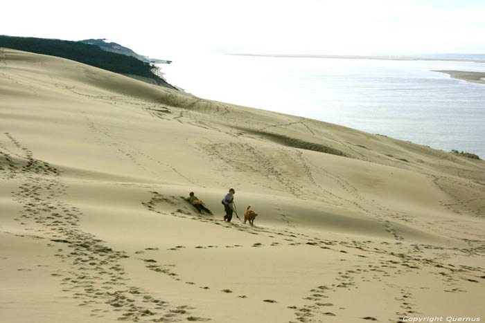 Dune Pyla sur Mer / FRANCE 