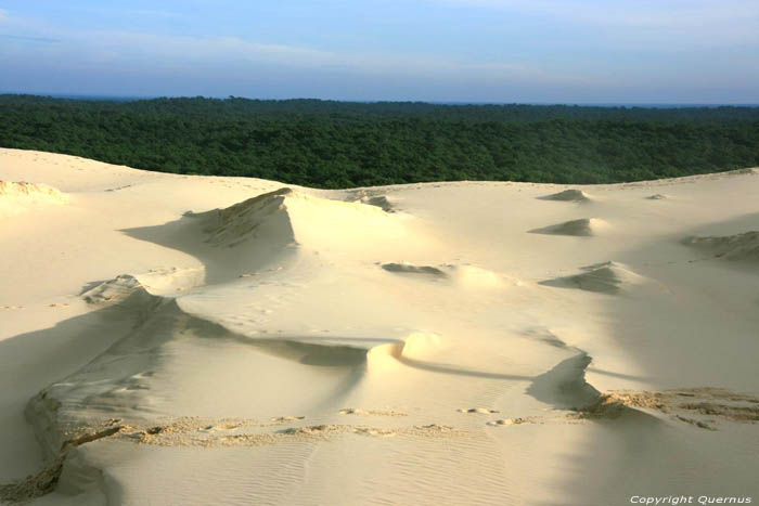 Dune Pyla sur Mer / FRANCE 