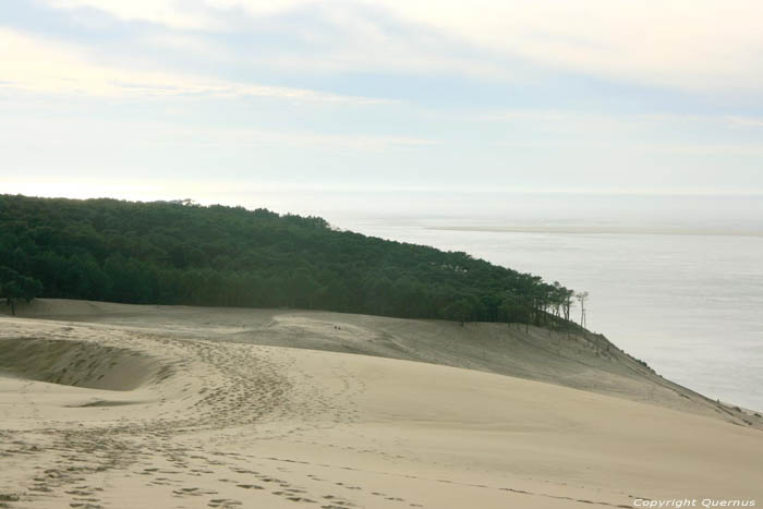 Dune Pyla sur Mer / FRANCE 