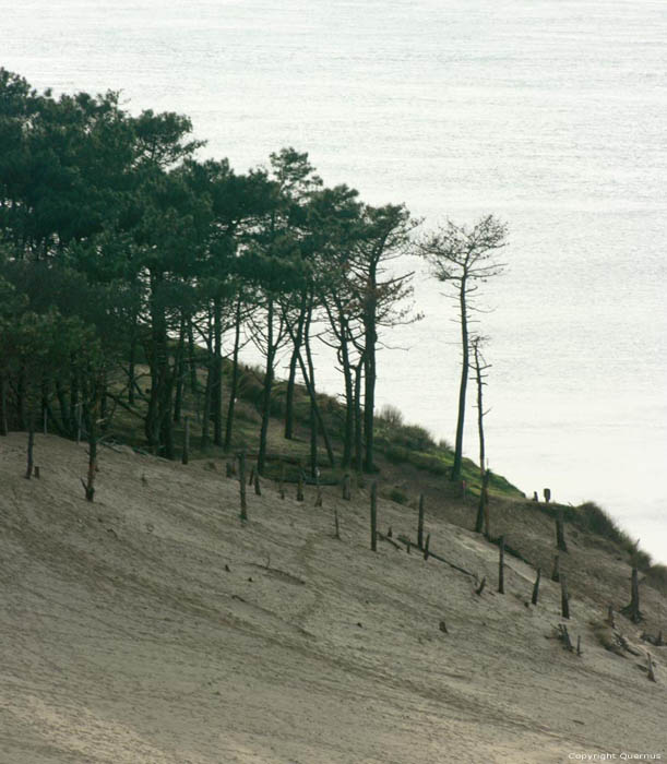 Dune Pyla sur Mer / FRANCE 