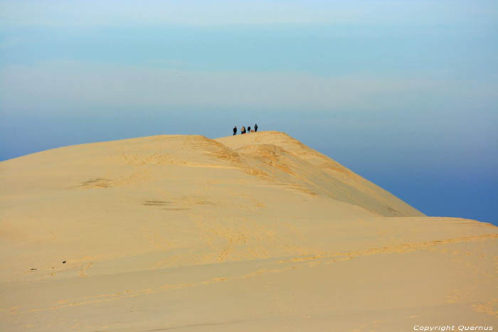 Dune Pyla sur Mer / FRANCE 