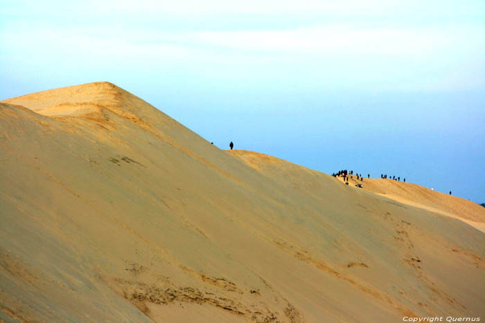 Dune Pyla sur Mer / FRANCE 