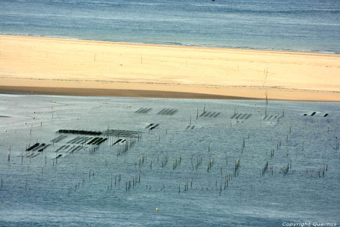 Zicht op zee Pyla sur Mer / FRANKRIJK 